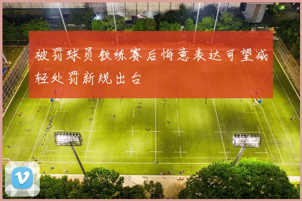 被罚球员教练赛后悔意表达可望减轻处罚新规出台